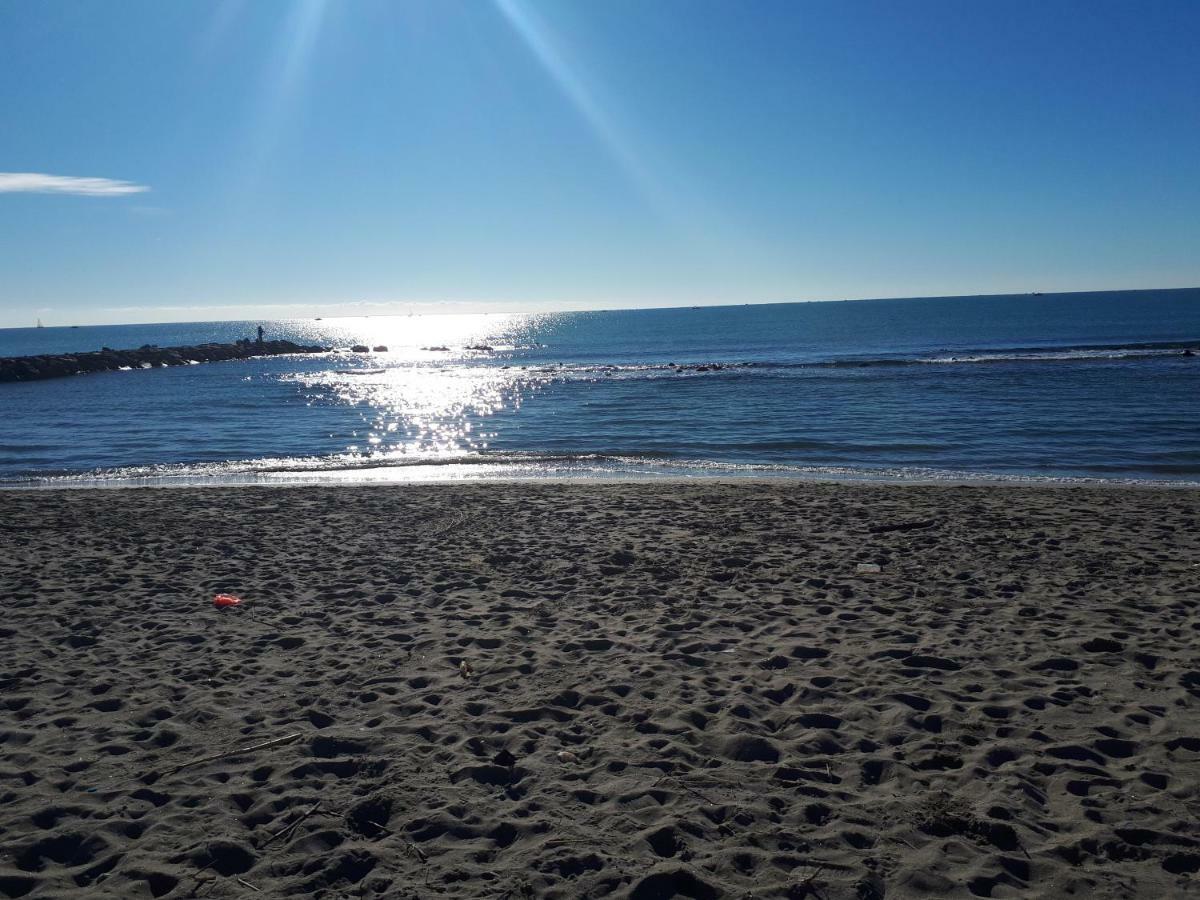Attico Sul Mediterraneo Lido di Ostia Zewnętrze zdjęcie